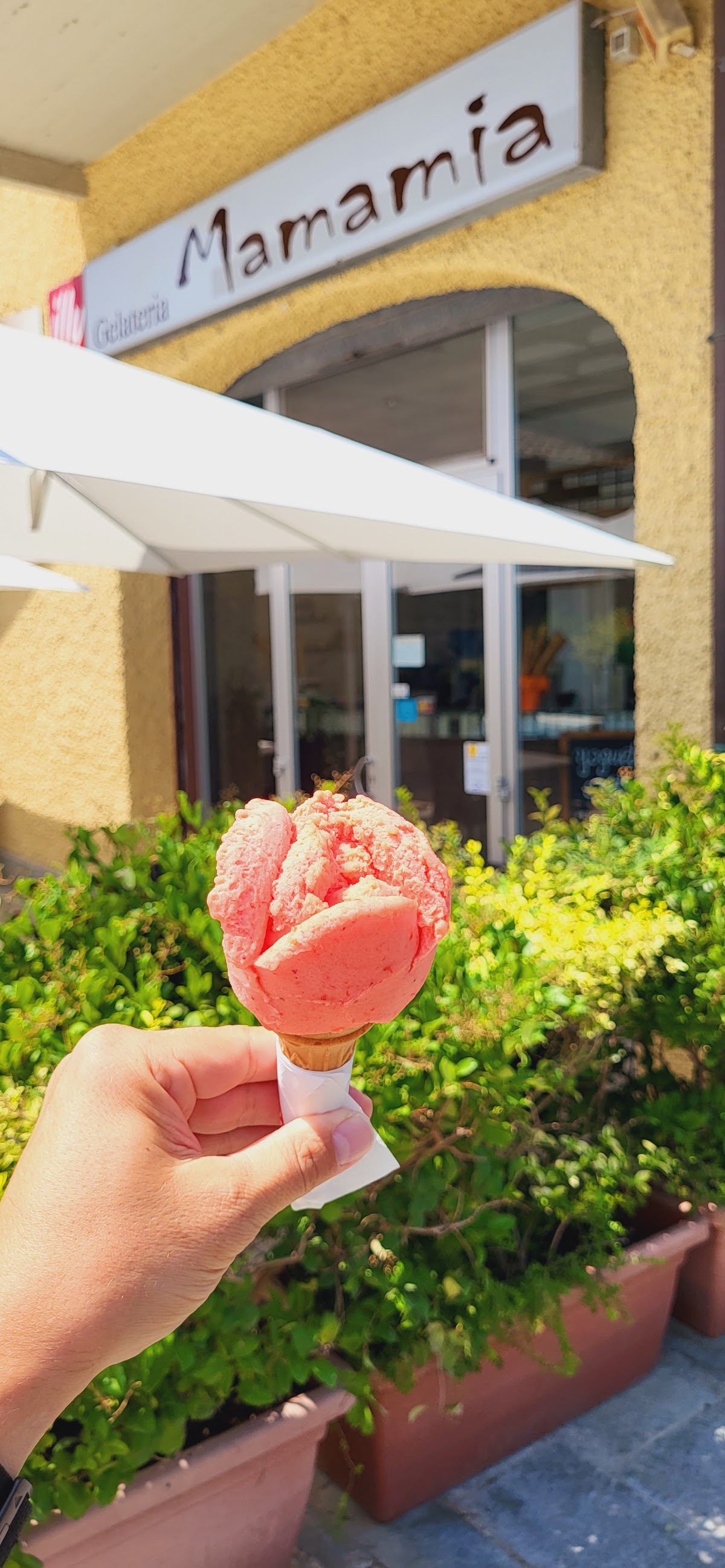 Il gelato della casa.