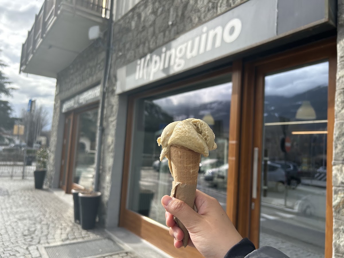 The Penguin Gelato Shop (Gelateria Il Pinguino)