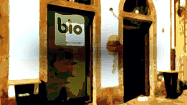 The Bio Factory - Fábrica de Helados - A Factoría Ecolóxica S.l.