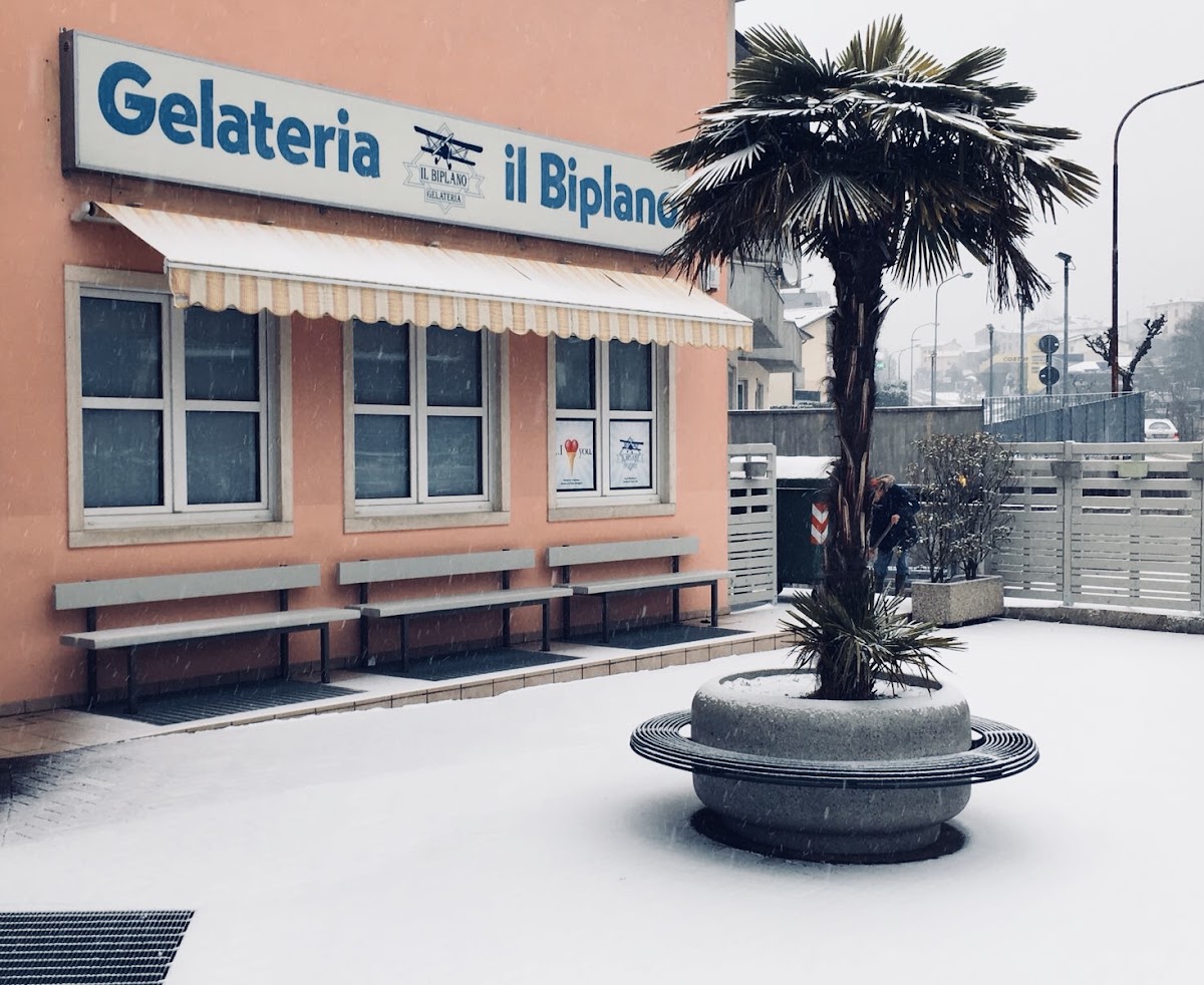 Il banco e la vetrina dei gusti.