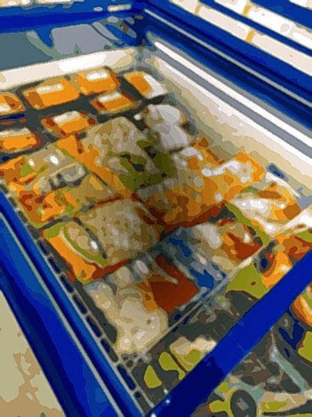 5 Océanos - San Sebastián