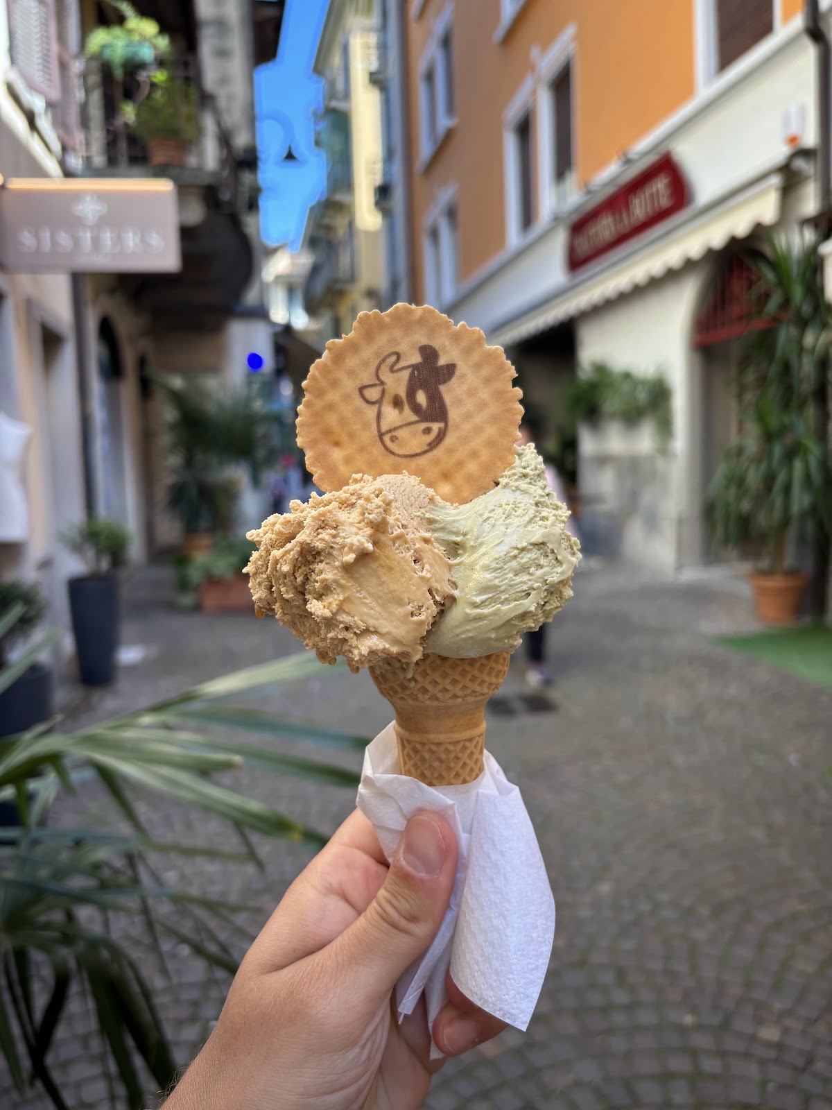 Le vaschette in vetrina.