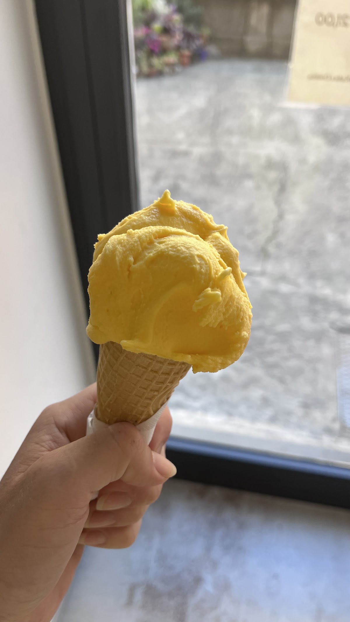 Il gelato servito.
