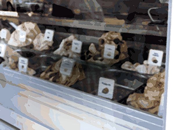 Helamore Puerto Rico Playa