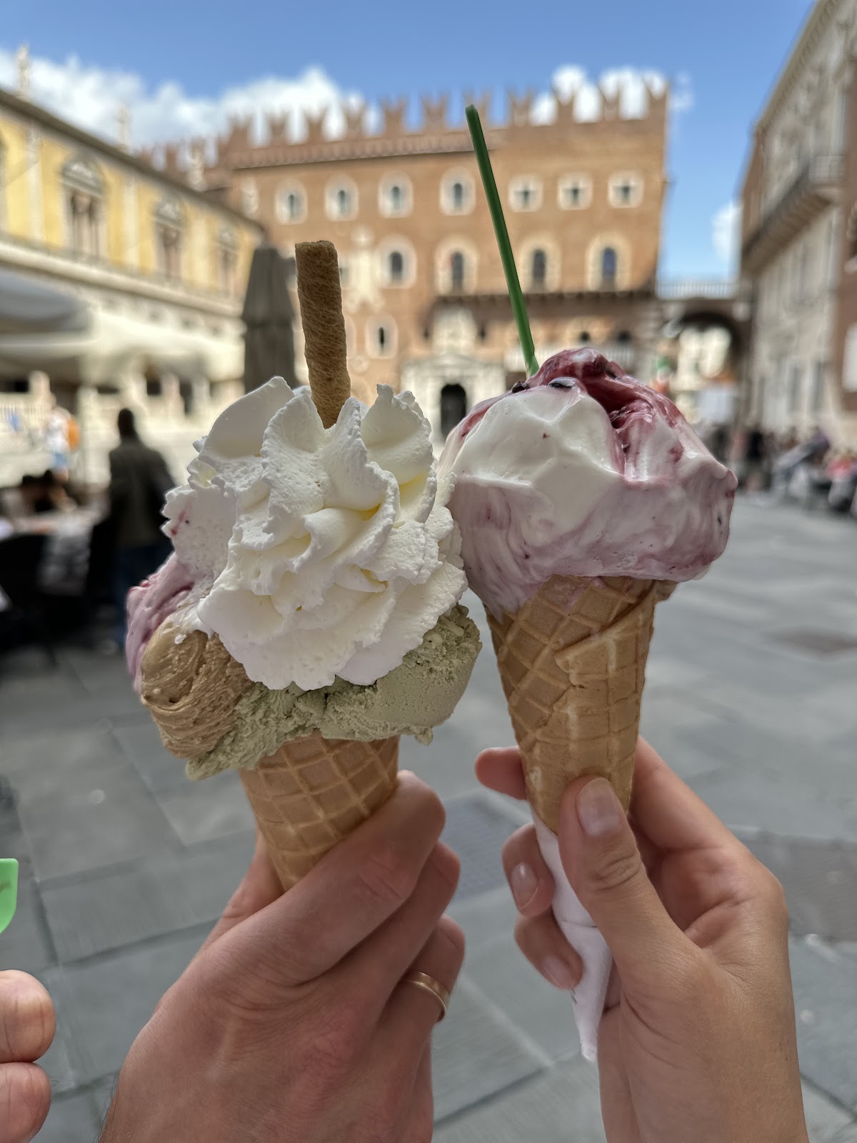 Le vaschette in vetrina.
