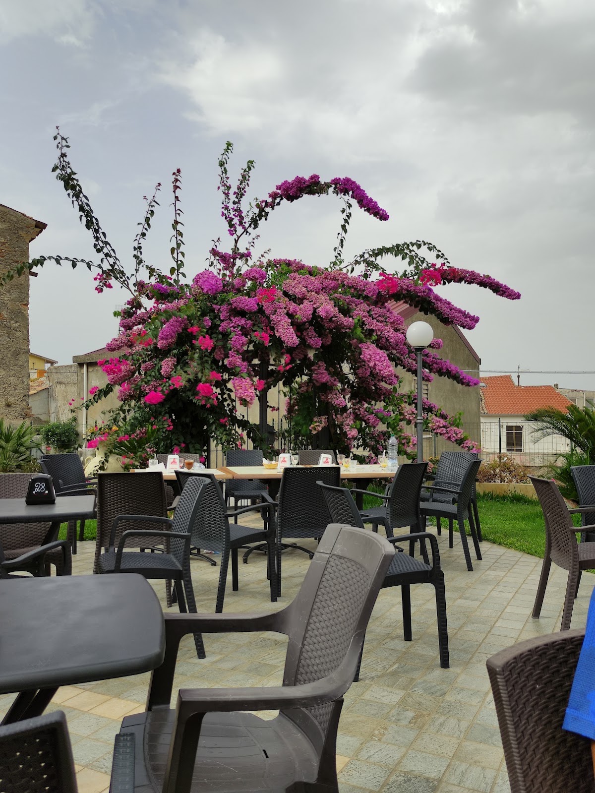 Bar Jolli