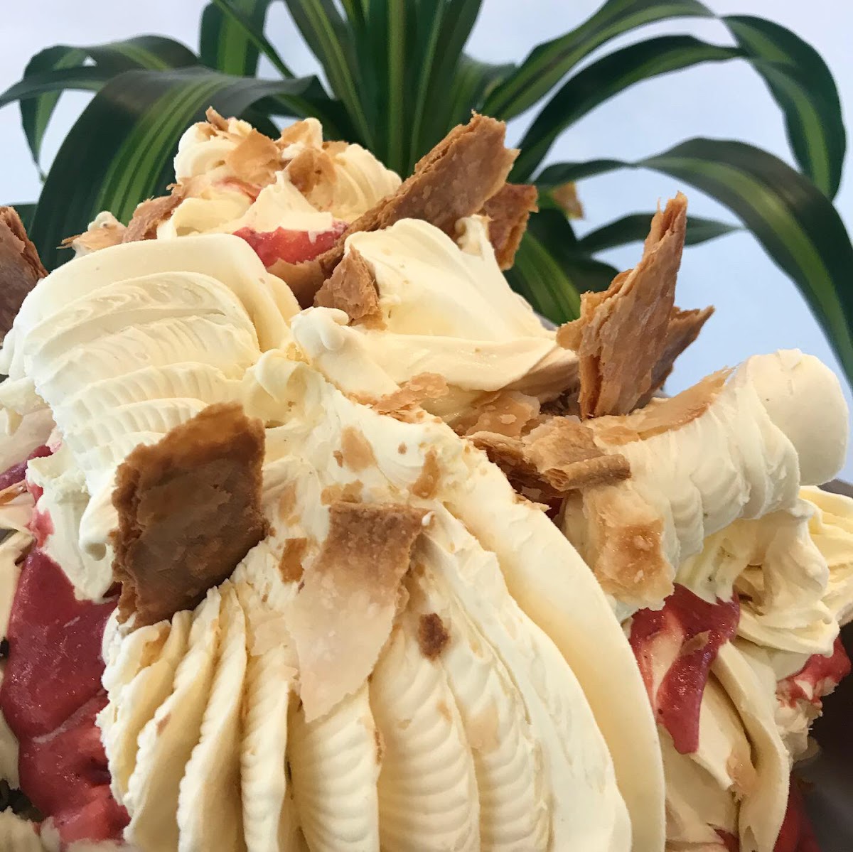 Il gelato servito.