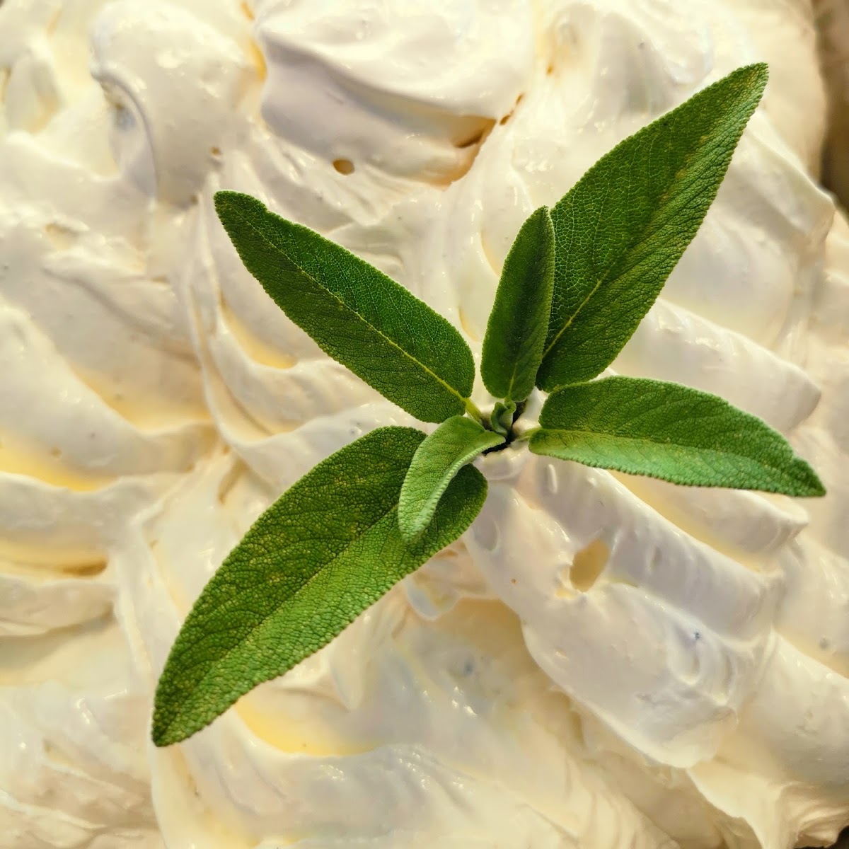 Il gelato della casa.