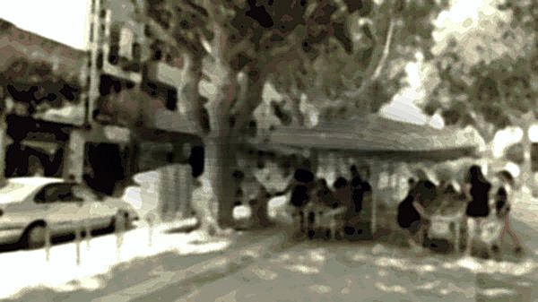 Gelateria Ice Custom