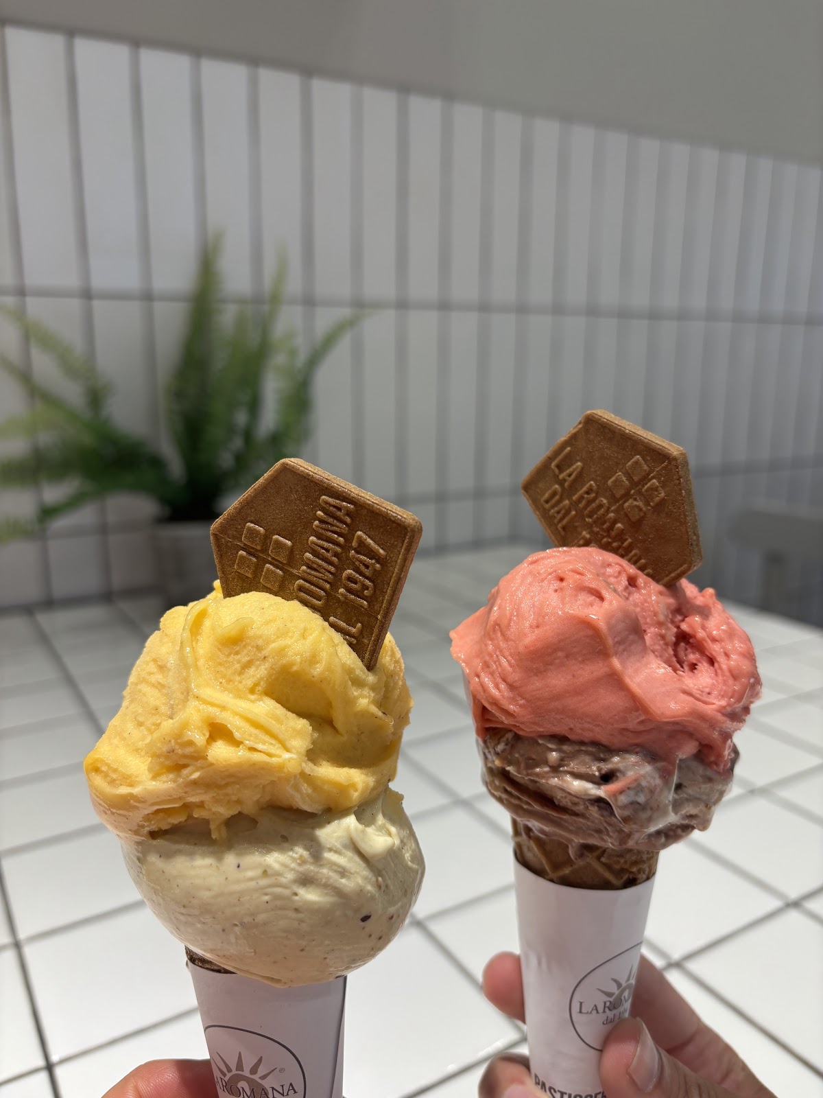 Il gelato servito.