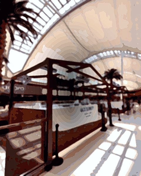 Goconut C.C. Intu Xanadú