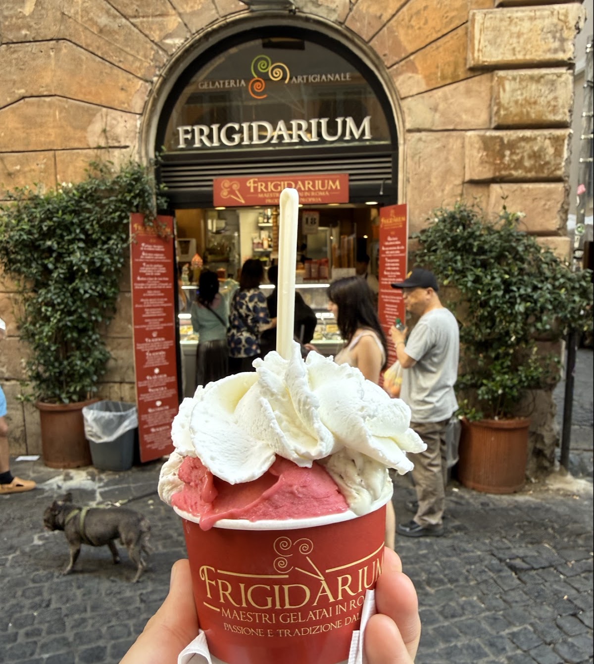 Il gelato servito.
