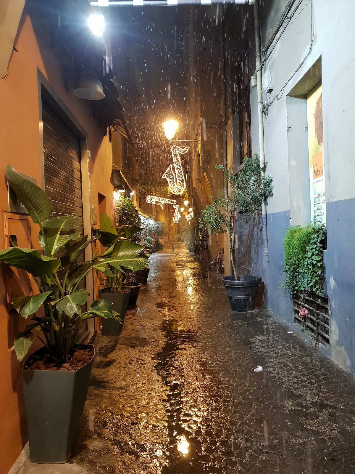 Un dettaglio del banco.