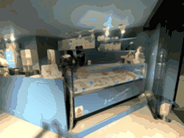 Badiani Gelato Palamós