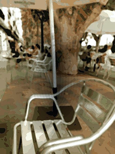 Helados Artesanos Daniel's