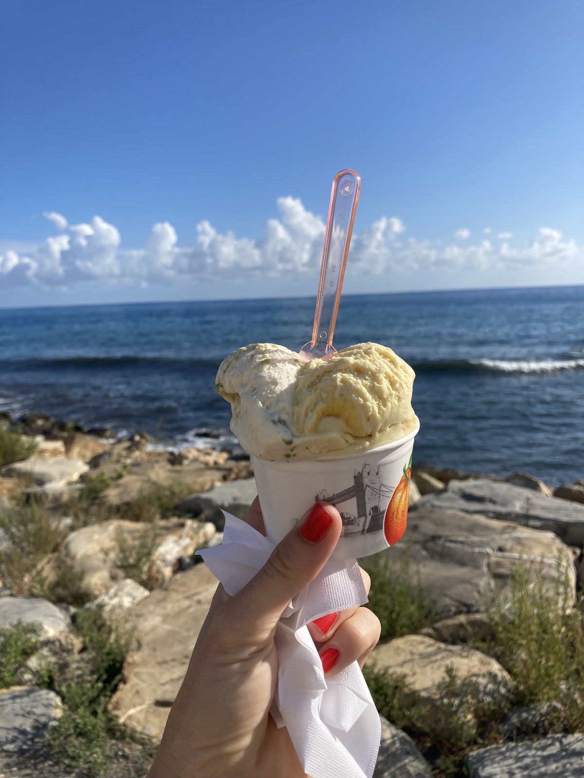 Le vaschette in vetrina.