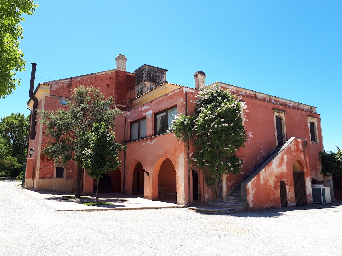 Le vaschette in vetrina.