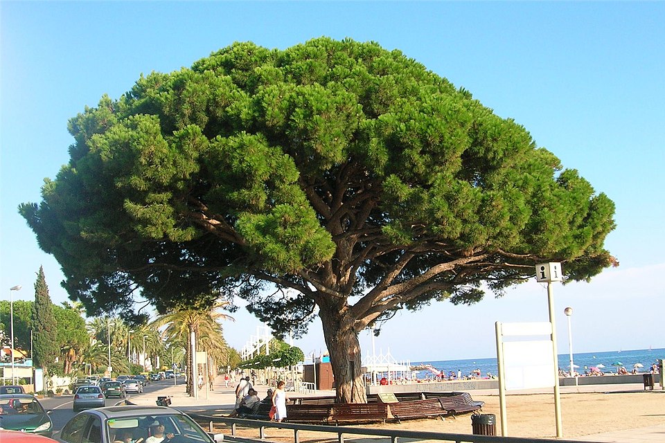 Foto turística de Cambrils