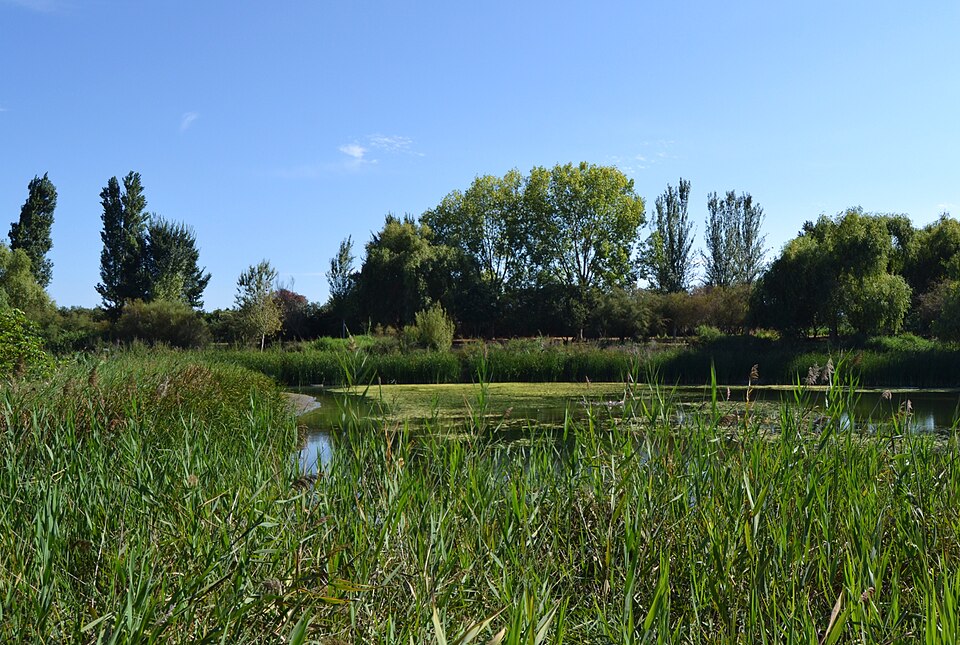 Foto turística de Gandia