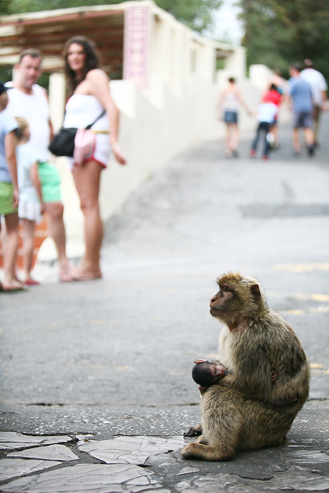 Foto turística de Gibraltar