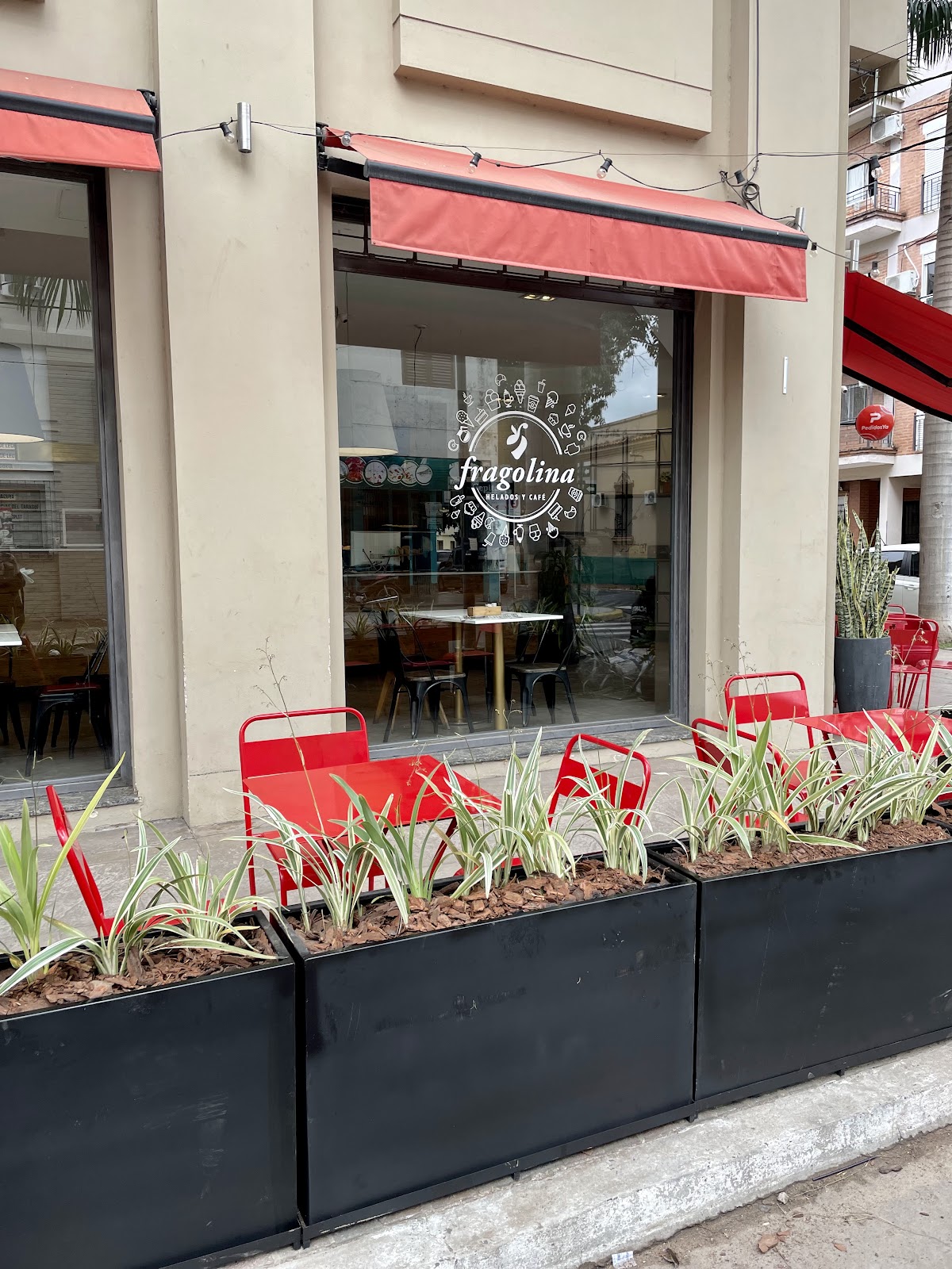 Fragolina Helados y Café