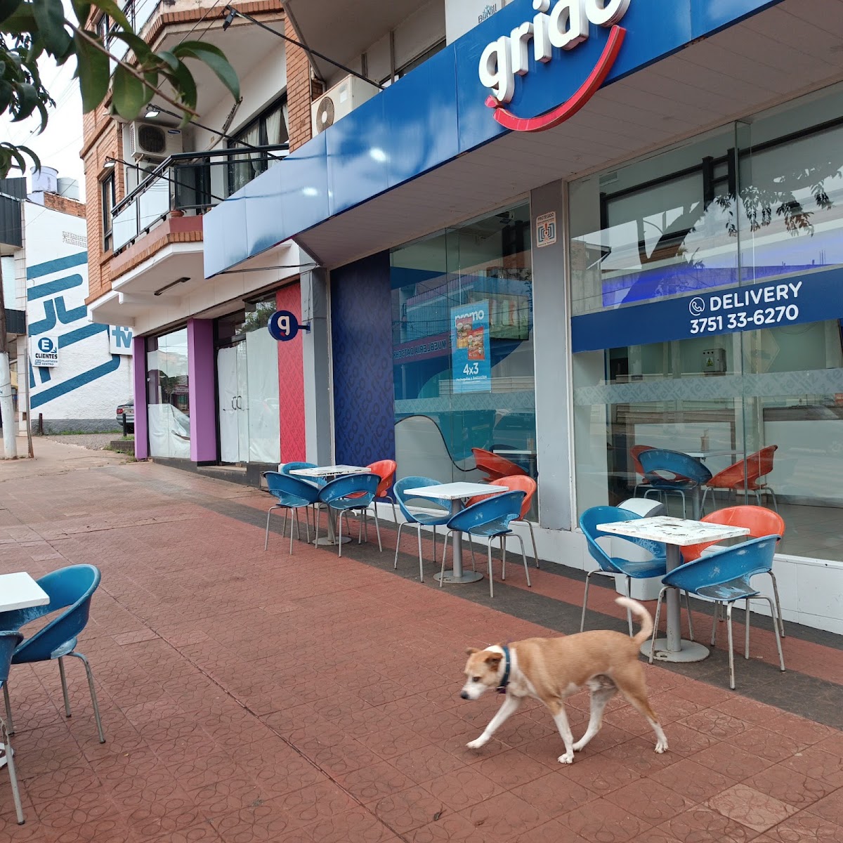 Grido helado (Eldorado)