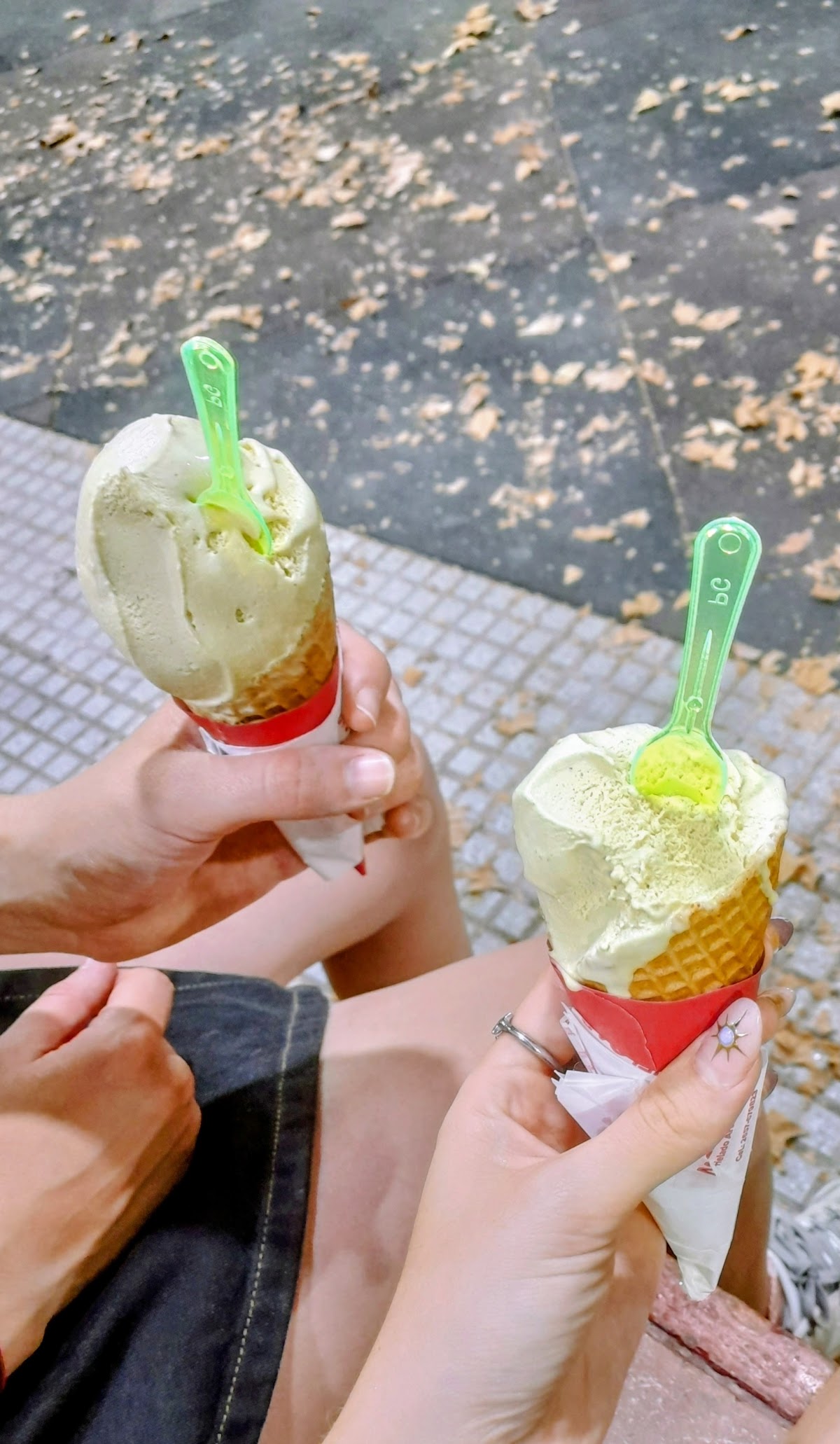 Nelcar Helados