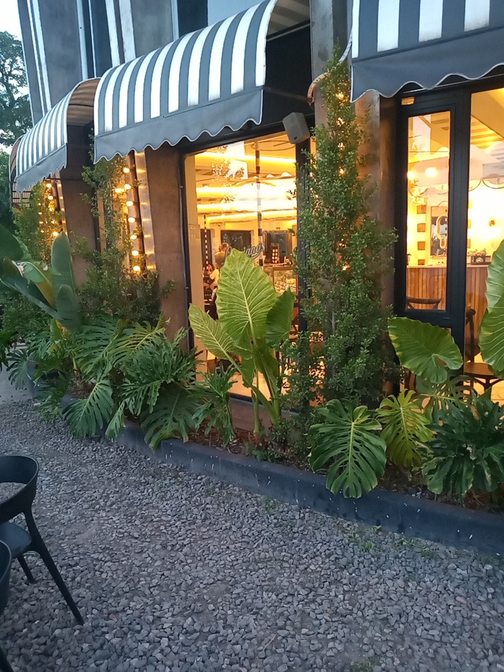Lucciano's Yerba Buena
